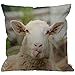 HGOD DESIGNS Housses de Coussin Moutons dr?le moutons portrait de moutons projection langue Taies d'oreillers Maison Décoration Pour Hommes Femmes Garçon Fille Chambre Salon Canapé 45 x 45 cm