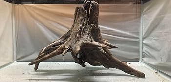一点物の超大型流木 d9252bbda5ba37397ae497170c2a00