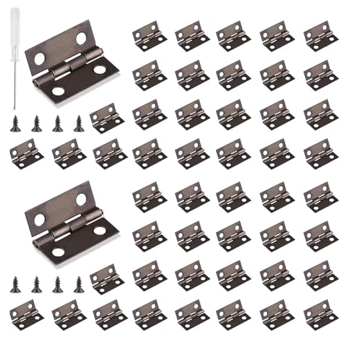 Roosea Charnières Miniatures 60 Piéce Mini Charnières Rétro Petites Charnière Charnière pour boîte à bijoux avec Tournevis et 240 Vis, 15mm*18mm, Rétro