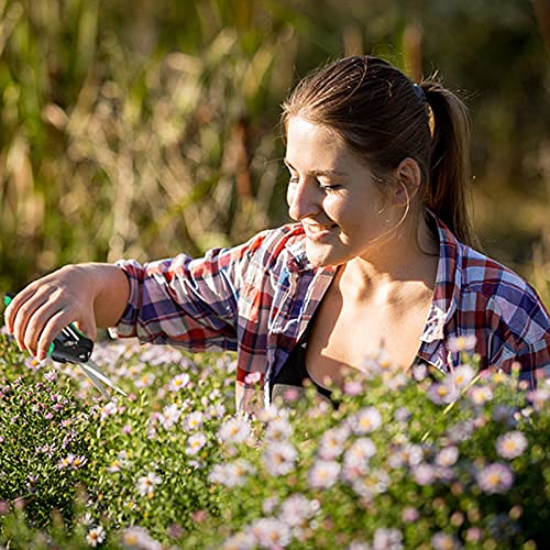 Ldk Gardening Hand Pruner Pruning Snip Pruning Shears For Bud, Garden Trimming Scissors With Stainless Steel Curved Blades, 6.5-Inch #TOP4