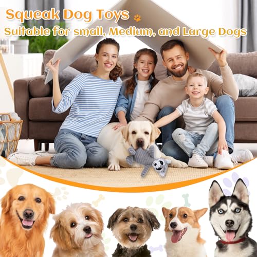 BoleShine Hundespielzeug Quietschendes, Zahnreinigendes Hundespielzeug Plüsch Interaktives Spielsachen Kauspielzeug Gefüllte Spielzeug für Welpen, Kleine, Mittlere, Große Hunde (Grauer Waschbär)