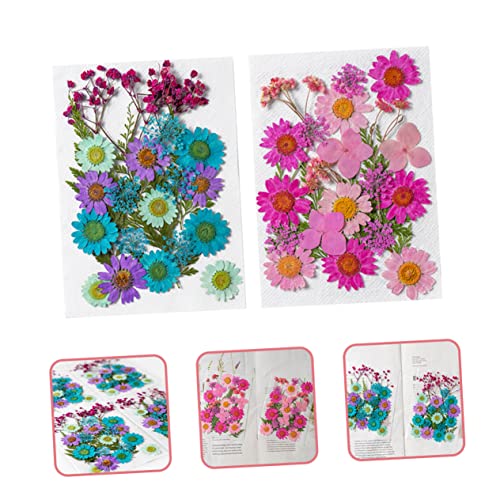 NOLITOY 50 flores secas para manualidades y decoración miniatura 2