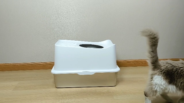 Amazon.com: WoofiGo Stainless Steel Cat Litter Box, Large Top