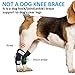 Dog Leg Braces for Rear Legs, Hock Brace for Back Legs with Metal Strips and Safety Reflective Straps for Short Legs, Joint Warps Support for Hind Legs Injuries Sprains Arthritis (Small(1Pair))