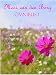 Omnibus 1 (Afrikaans Edition)