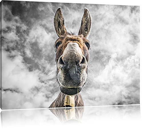 The Enduring Charm of Lustiger Esel Bild: A Comprehensive Guide to Its History, Benefits, and Value