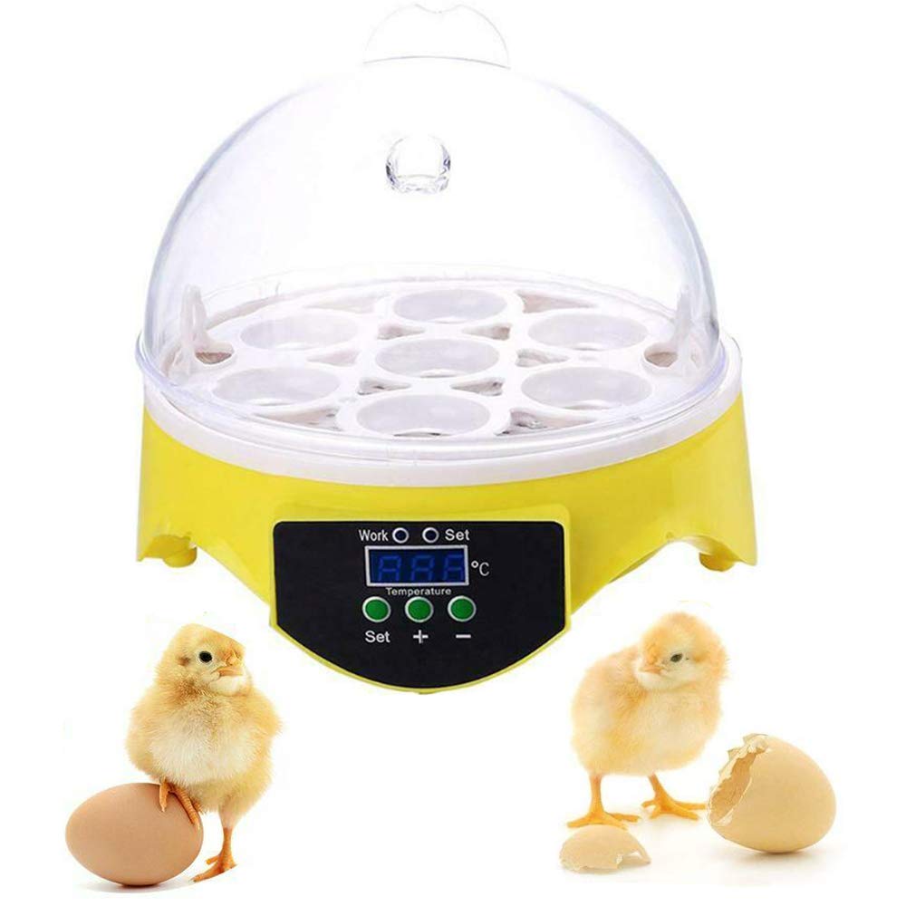 Incubateur d'oeufs automatique couveuse numérique 7 oeufs éclosoir poule et mini incubateur