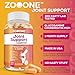 zooone Advanced Joint Support Supplement with Glucosamine, Chondroitin, Turmeric & MSM - 120 Tablets for Back, Knee, Hand Bone Health