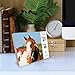 What Horses Teach Us 2023 Box Calendar