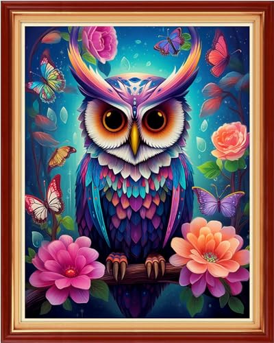 Image of Foxdiviy Stamped Cross Stitch Kits Full Range of Embroidery Needlework Starter Kits for Beginners Adults 11CT Embroidery Patterns Art Crafts DIY Needlepoint Kits-Colorful Owl 16x20 inch