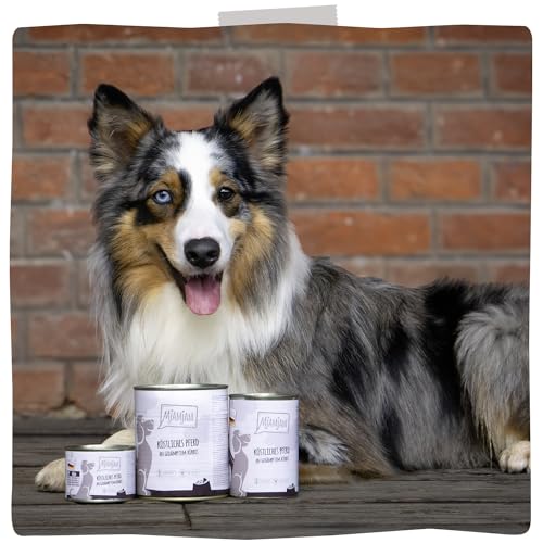 MjAMjAM - Premium Nassfutter für Hunde - köstliches Pferd an gedämpften Kürbis, 6er Pack (6 x 800g), getreidefrei mit extra viel Fleisch