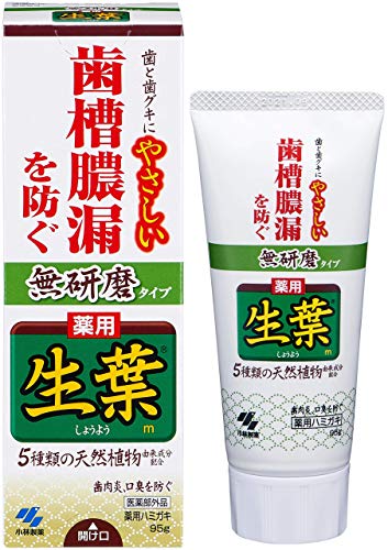 生葉(しょうよう) 無研磨タイプ 歯槽膿漏を防ぐ 薬用ハミガキ ハーブミント味 95g 【医薬部外品】×4個