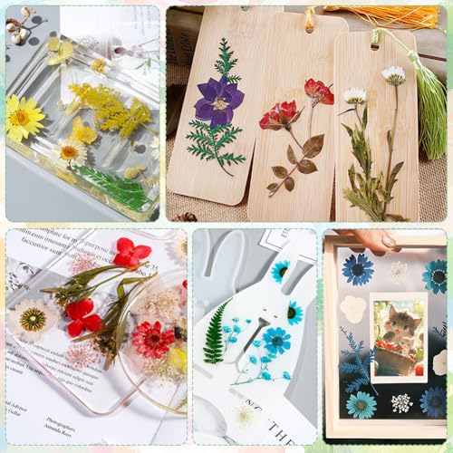 125 piezas flores secas prensadas para manualidades miniatura 3