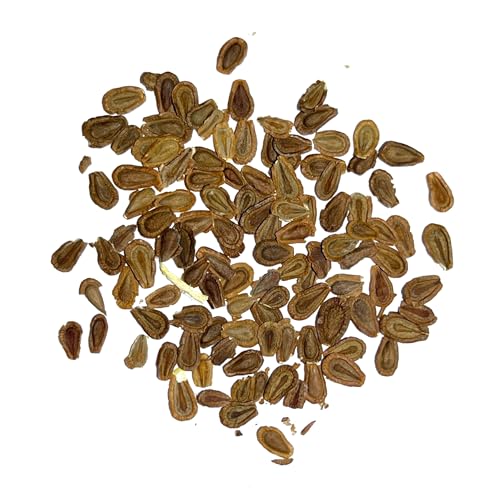 Image of Seed Needs Showy Milkweed Seeds to Attract Monarch Butterflies 1 Pack
