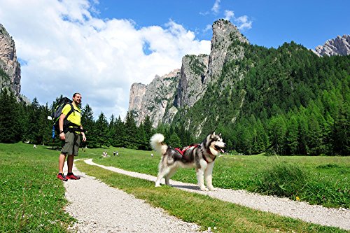 Neewa LIN AMMORT 150 Linea Dog Trekking
