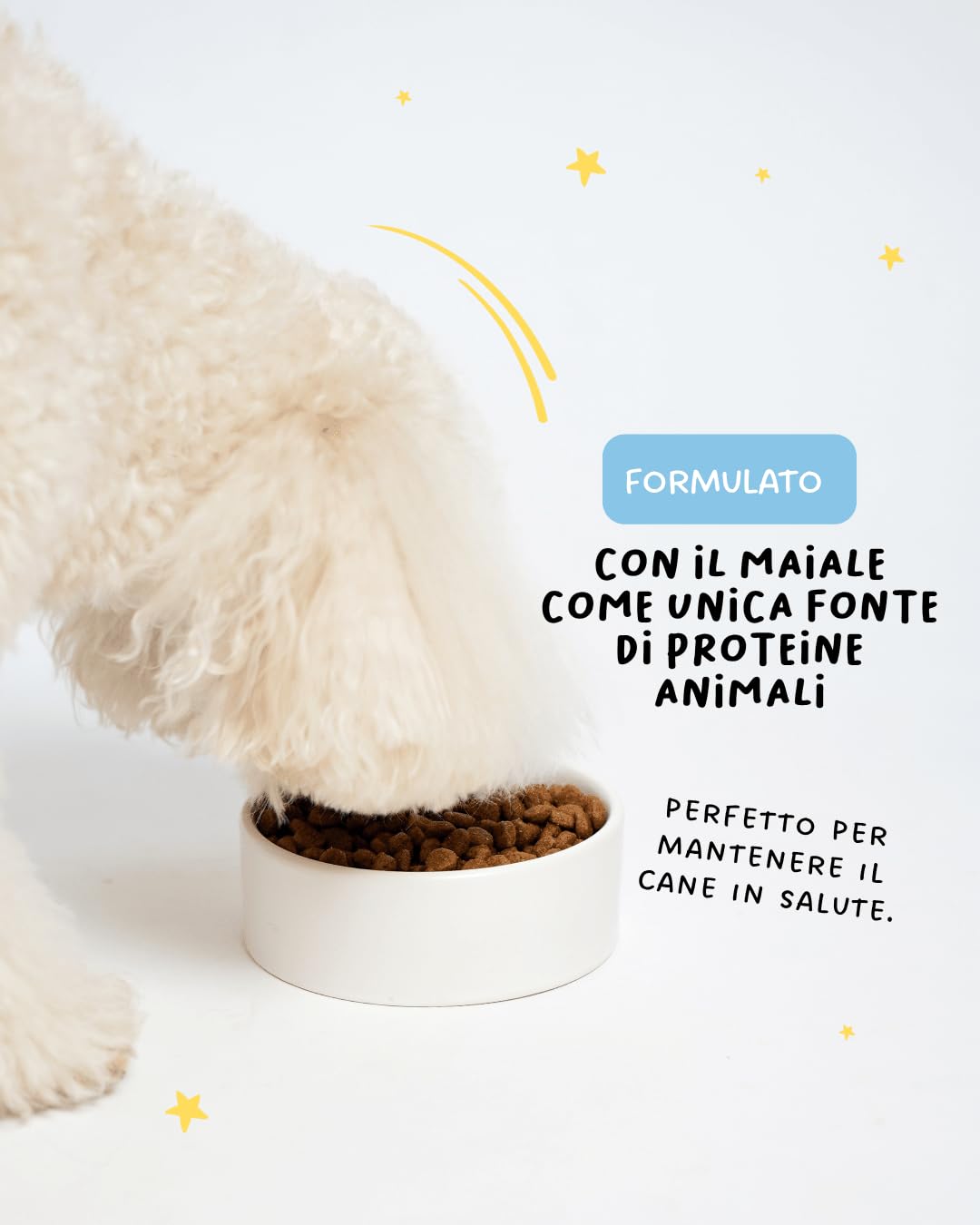 Crocchette Cani Mini Monoproteiche Maiale con Tapioca e Riso | 3 kg | Cibo Secco Adulti Taglia Piccola Ipoallergenico Low Grain | Hygge Dog