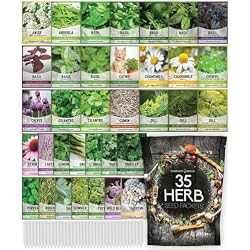 35 Medicinal Herb Seeds Variety Pack – Heirloom Non-GMO Healing & Culinary Herbs for Planting – Apothecary, Tea & Homestead Garden Kit