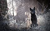  LHJOY Puzzle gorjuss Puzzle 500 Piezas Perro de la Naturaleza