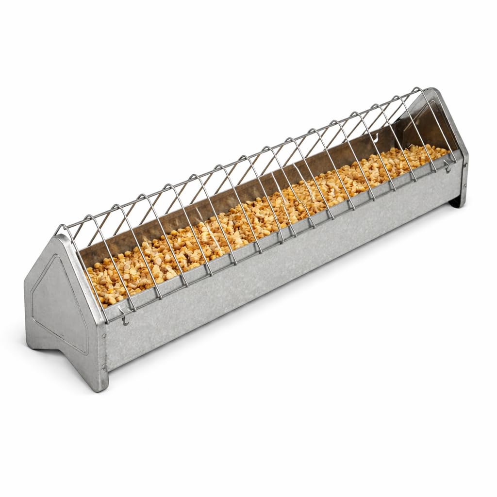(Pack of 1) Stainless Steel Birds Food Feeder Tray for Pigeon, Chicken and Other pet Animals|24 Chicks Feed|12'inch- Pack of 1-image-25
