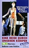 Eine Reise durch unseren Körper 3 - Nervenbahnen zum Gehirn [VHS]