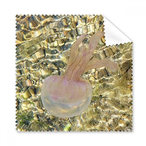 CmNQ TCGXR摜 N[jONX dbXN[KlN[i[ 5