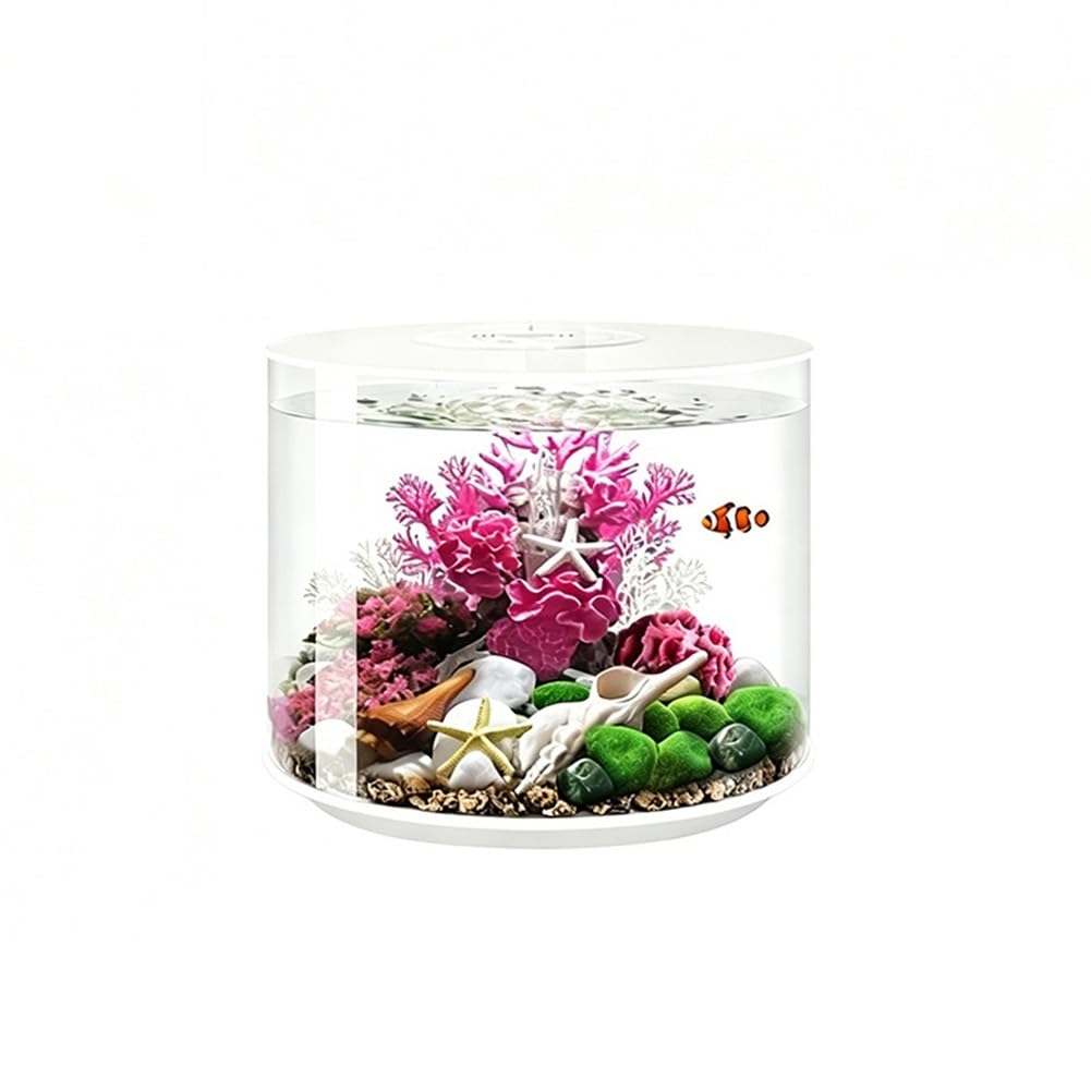 Acquario da tavolo cilindrico in acrilico
