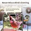 Smart Bird Feeder with Camera, 2.5K UHD Bird Feeder Camera Solar Powerd, Sensitive AI Identification, Instant Alerts Capture Video, IP66 Waterproof for Outdoor, Ideal Gift, Green #4