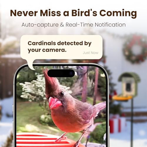 image for WLNYUGS Smart Bird Feeder with Camera, 2.5K UHD Bird Feeder Camera Sol