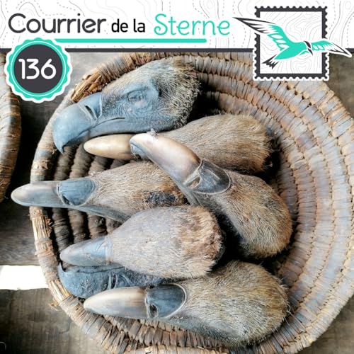 CDLS#136 : Mais qui sont ses serpents qui sifflent sur vos t&ecirc;tes ? (Vautours)