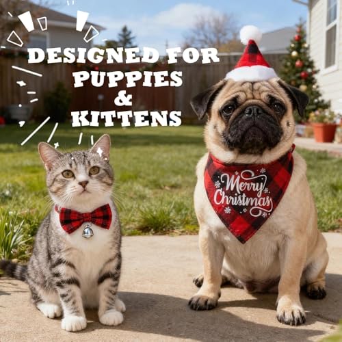 Conjunto Disfraz Navidad 3 Piezas para Perro Pequeño miniatura 2