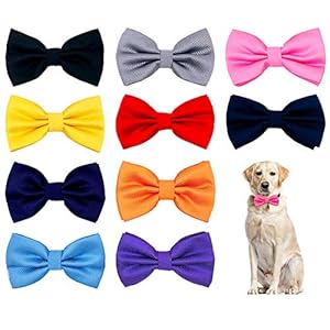 Large Dogs Collar Attachment