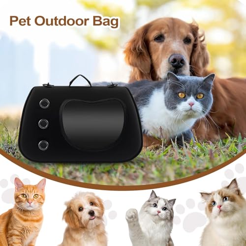 Solution de transport légère pour promenade avec chien et chat à l'épaule