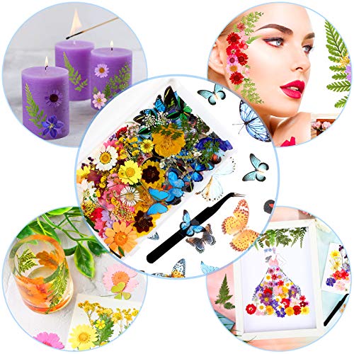 Set de Pegatinas Naturales Flores Secas Presionadas y Mariposas miniatura 3