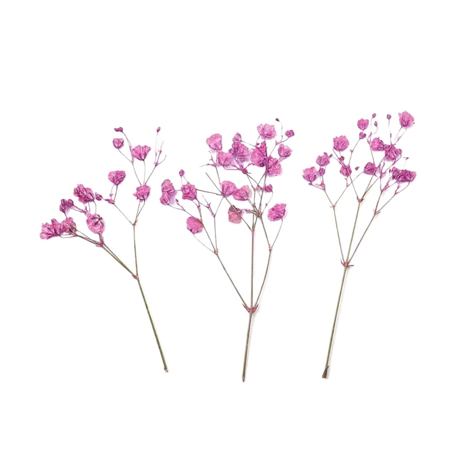 WJIAYAO dried gypsophila flowers 12Pcs Gypsophila Bouquets Colorful Dried Flower(Rose Red)