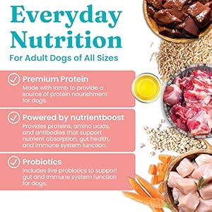 Strong Gold Canned Canine Meals for Grownup & Senior Canines – Nutrientboost Hund-N-Flocken Made with Actual Lamb and Wholesome Complete Grains – Excessive Calorie, Excessive Protein Moist Canine Meals – 6ct/12.5oz Cans