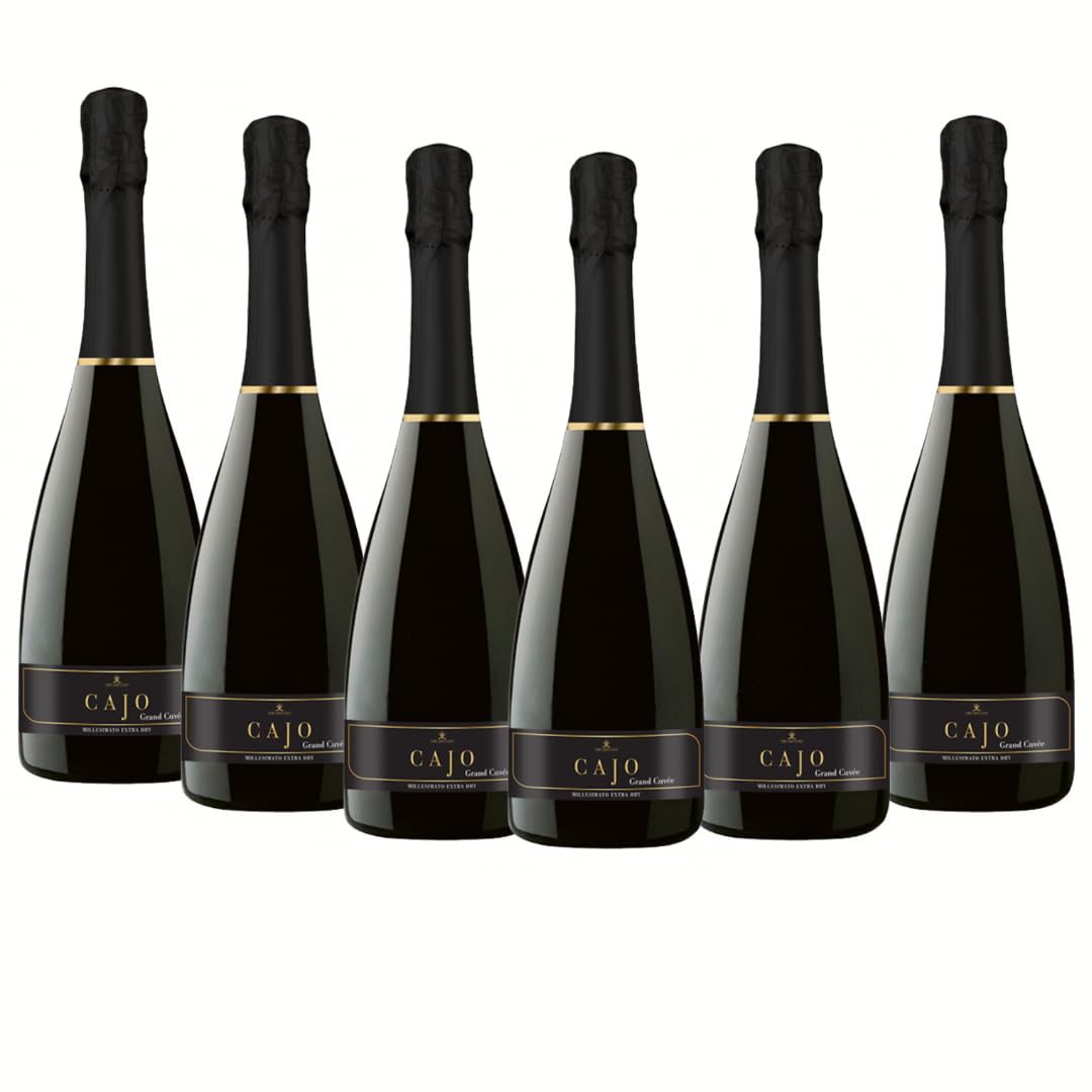 OFFERTA SPECIALE | Spumante Extra Dry Millesimato, da Uva Glera, Gusto Fresco con Note Fruttate, 6x750 ml
