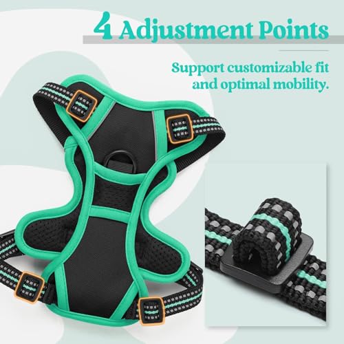 Image of rabbitgoo Dog Harness No Pull with 2 Leash Clips, Adjustable Soft Padded, Reflective Oxford No Choke Pet Vest with Easy Control Handle for Puppy, Black & Turquoise, XS