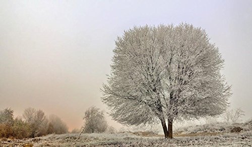 Il sole non scioglie la brina