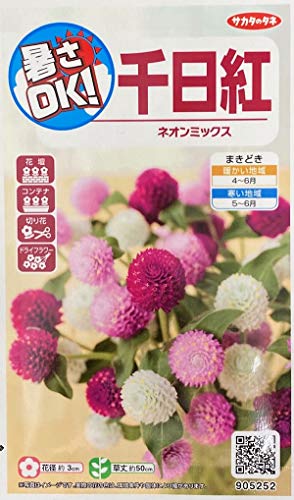 花種子 千日紅 ネオンミックス サカタのタネ 農林水産省品種登録 登録品種名 SAKGOM001 SAKGOM002 SAKGOM006 海外持出禁止 - サカタのタネ - 商品画像