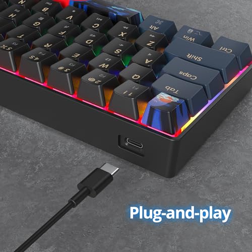 Image of 60 Percent Gaming Keyboard 61 Keys Mechanical Keyboard Rainbow Backlit Ultra Compact Wird Keyboard with Red Switches for Win Ps4 /5 Xbox(61 Blue)