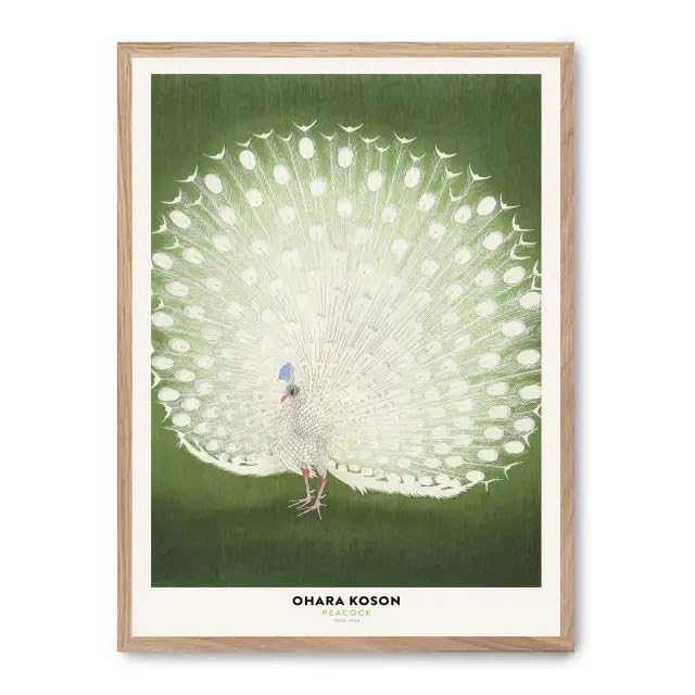 Cuadro white peacock beauty FASE5 : grand tableau déco paon