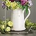 Sullivans Modern Farmhouse Decorative Ceramic Pitcher, 8 x 7 x 10 inches, Distressed Farmhouse Décor, Off-White Crackled Finish, Faux Floral Vase, Mantel, Dining Table and Living Room Décor (CM2364)