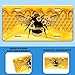 Queen Bee License Plate Bee License Plate Stainless Steel Front License Plate Vanity Tag Funny for Car Decorative Accessories for Women Men 6 X 12 Inch with 4 Holes