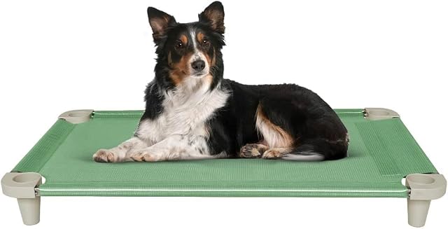 Acrimet Cama Elevada para Perros, Malla Lavable y Transpirable, Estructura de Acero Inoxidable