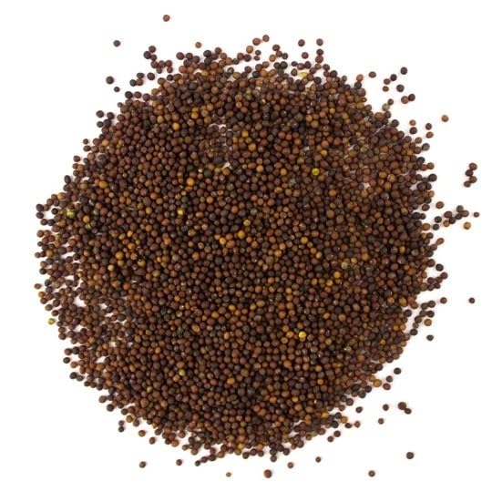 Organic Kale Seed for Sprouting and Microgreens | Complete Kale Plant in One Bite - Packed with Nutrients - Easy-to-Follow Sprouting Instructions - 100% Organic - Yield 5:1 - Shelf Life 2 Years