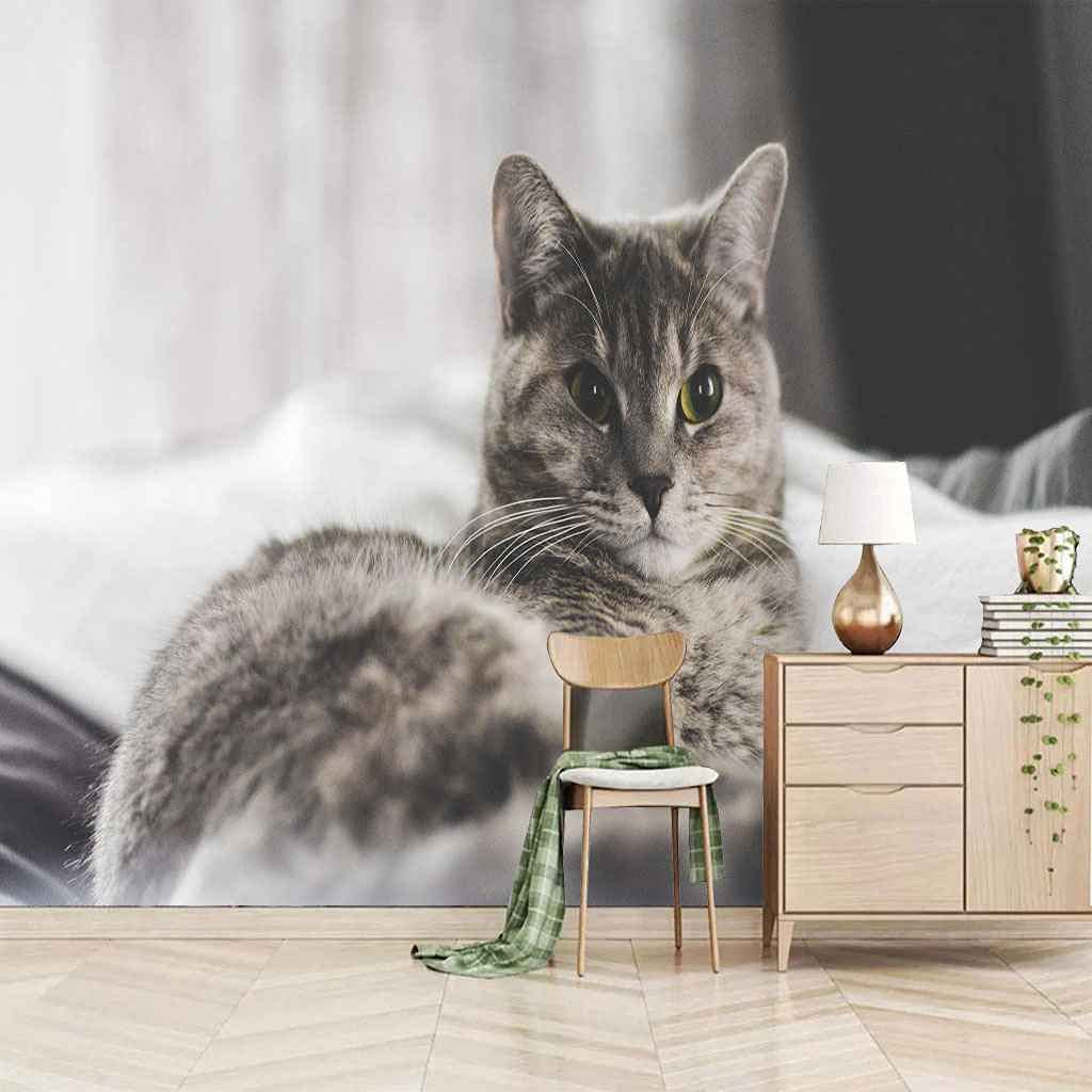 Papier peint 3D chaton gris en toile adhésive haut de gamme pour grand mur de salon
