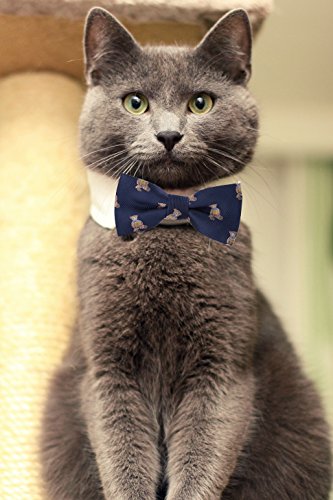 Flairs New York Pet Lovers' Collection Little Bow Tie (Prussian Blue/Stripes [Teddy Bear]) #TOP3