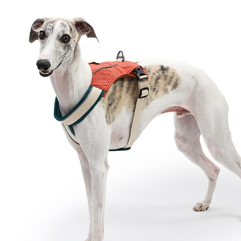 Traspirante Cuccioli Sicuro Imbracature Riflettente Regolabile Pet Training Vest per Piccoli Media Cani di Grandi Dimensioni