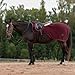 Equinavia Koselig Fleece Quarter Sheet - Cranberry Red - XL