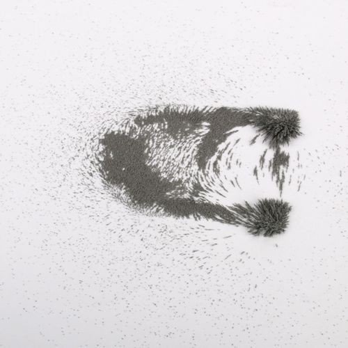 Eisenpulver (magnets4you) - 1000g | Eisenspäne für magnetische Experimente, sichtbare Magentfeldkennlinien | Magnetismus erklären für z.B. Schule/Unterricht/Physik